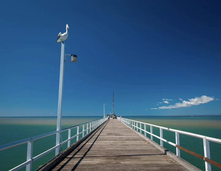 AdobeStock_165648281