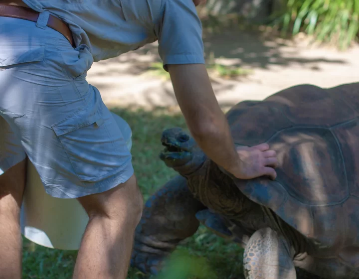 AdobeStock_317878527