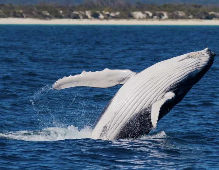 AdobeStock_534369124