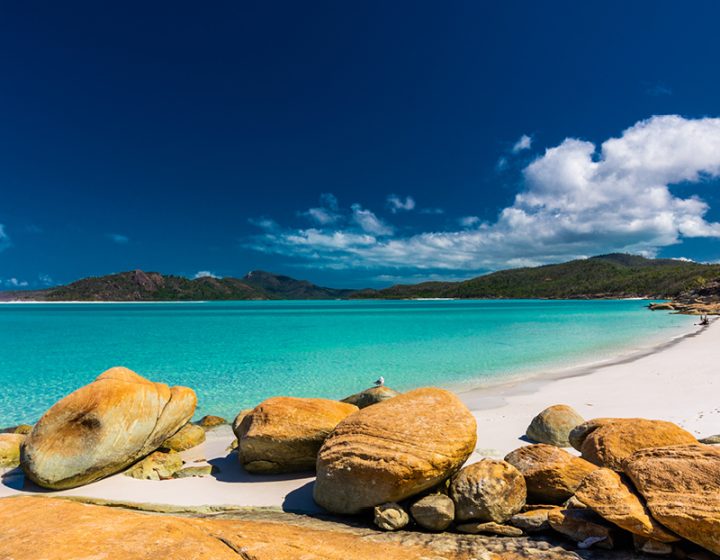 whitsundays